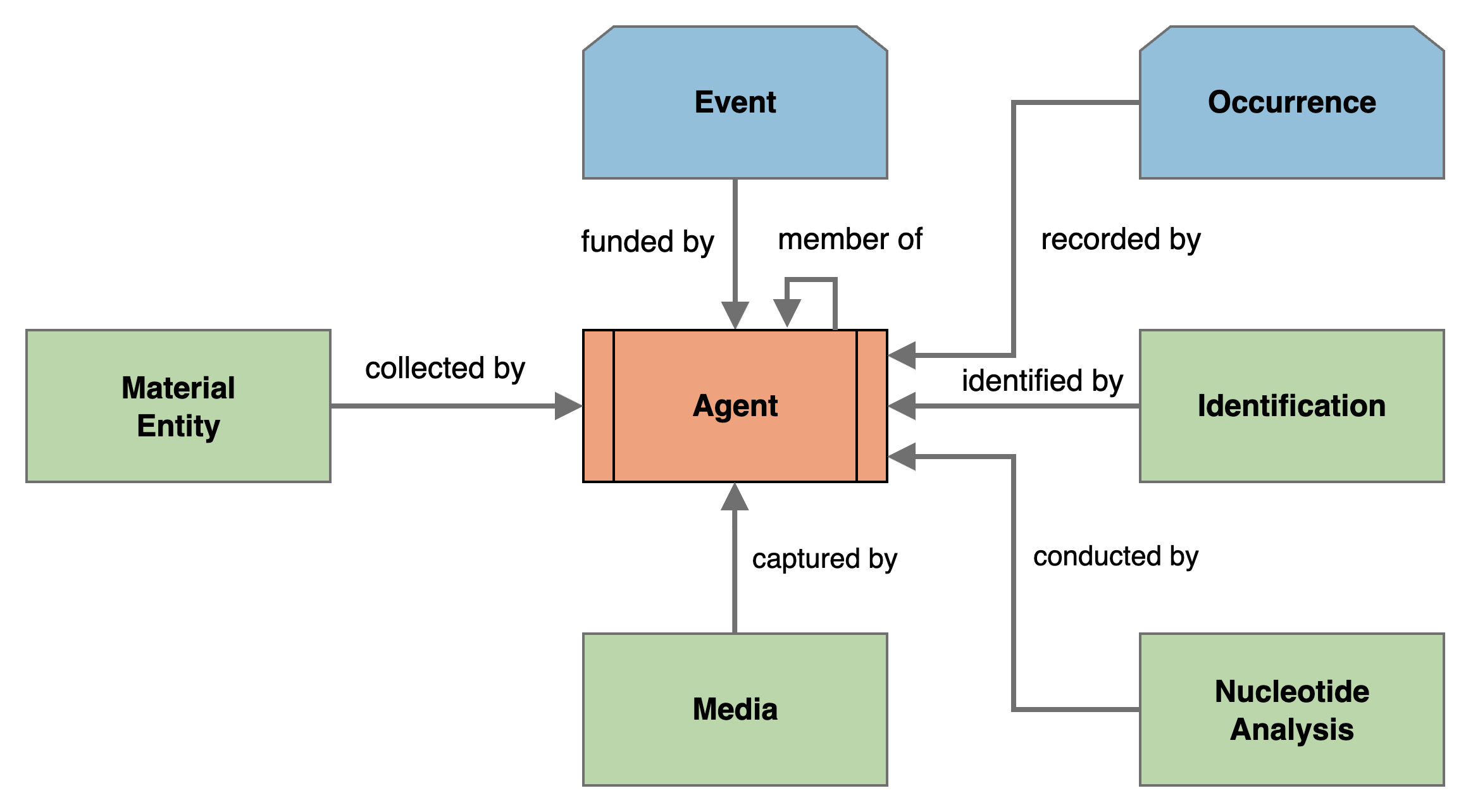 Agent Conceptual Model