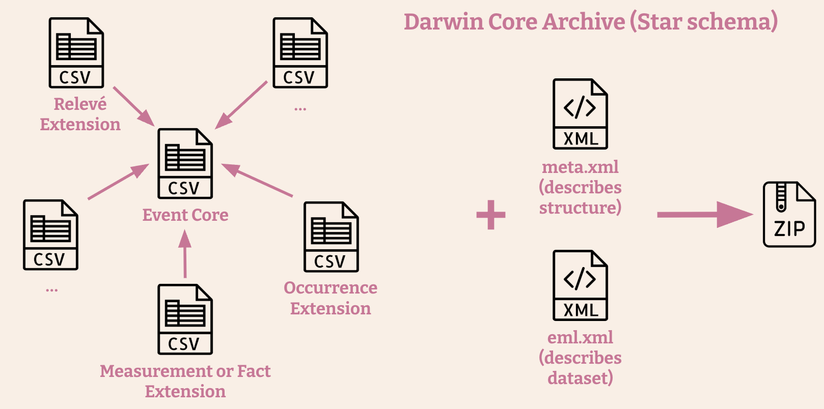 Here should be the image of the Darwin Core Archive structure