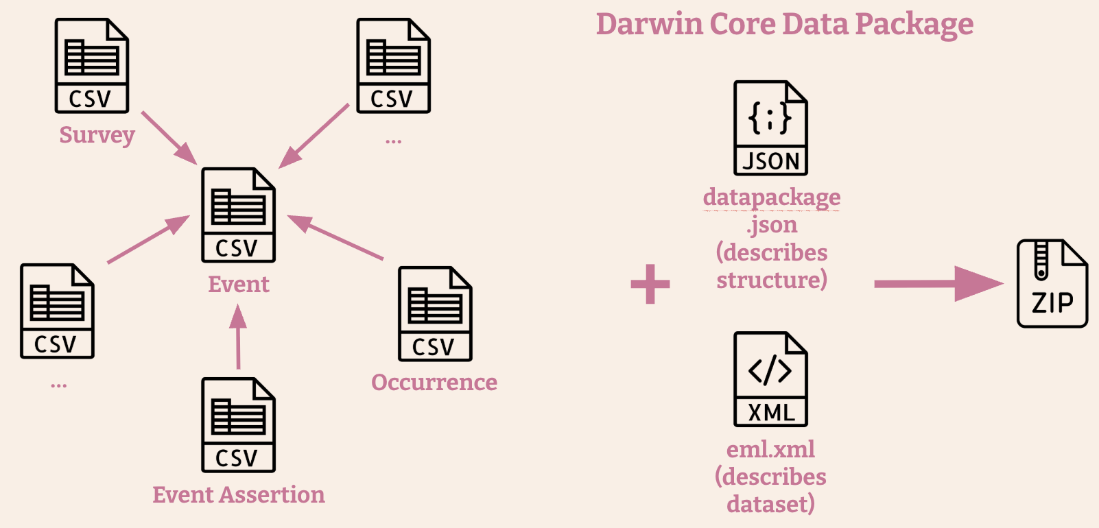 Here should be the image of the Darwin Core Data Package structure